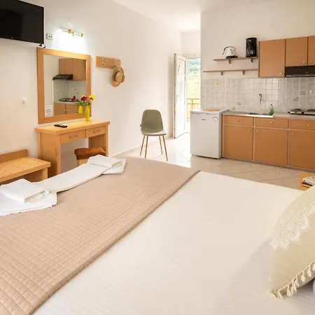 公寓 埃琳娜公寓 *