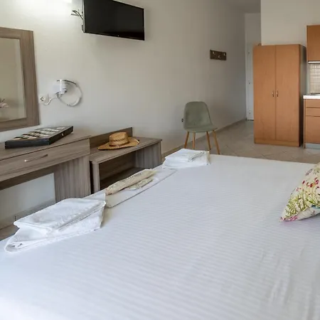 公寓 埃琳娜公寓 *