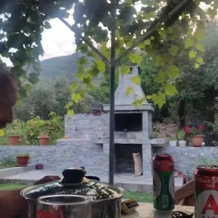 公寓 埃琳娜公寓 基尼拉