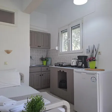 埃琳娜公寓 * 基尼拉