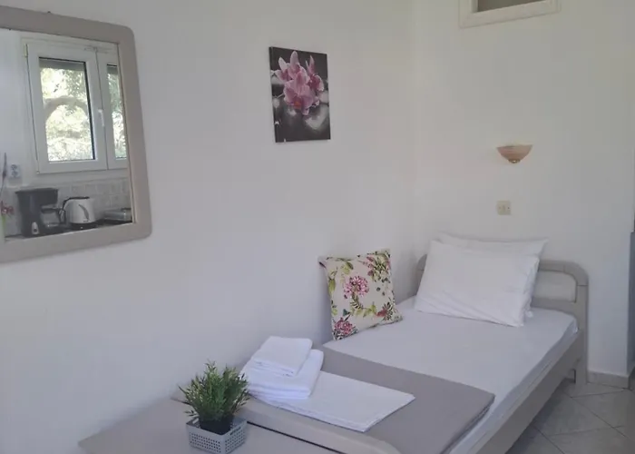 House Elena * Kinira