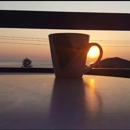 Apartament House Elena *