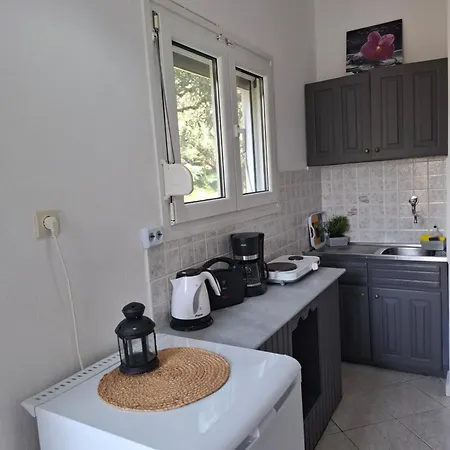 House Elena Apartament Koinira