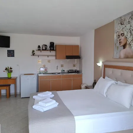 Apartament House Elena