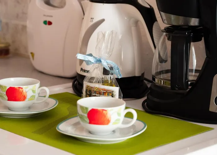 埃琳娜公寓 公寓 *