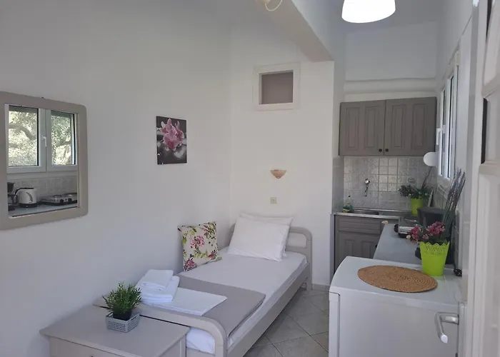 House Elena 아파트 *