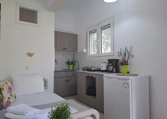 埃琳娜公寓 * 基尼拉